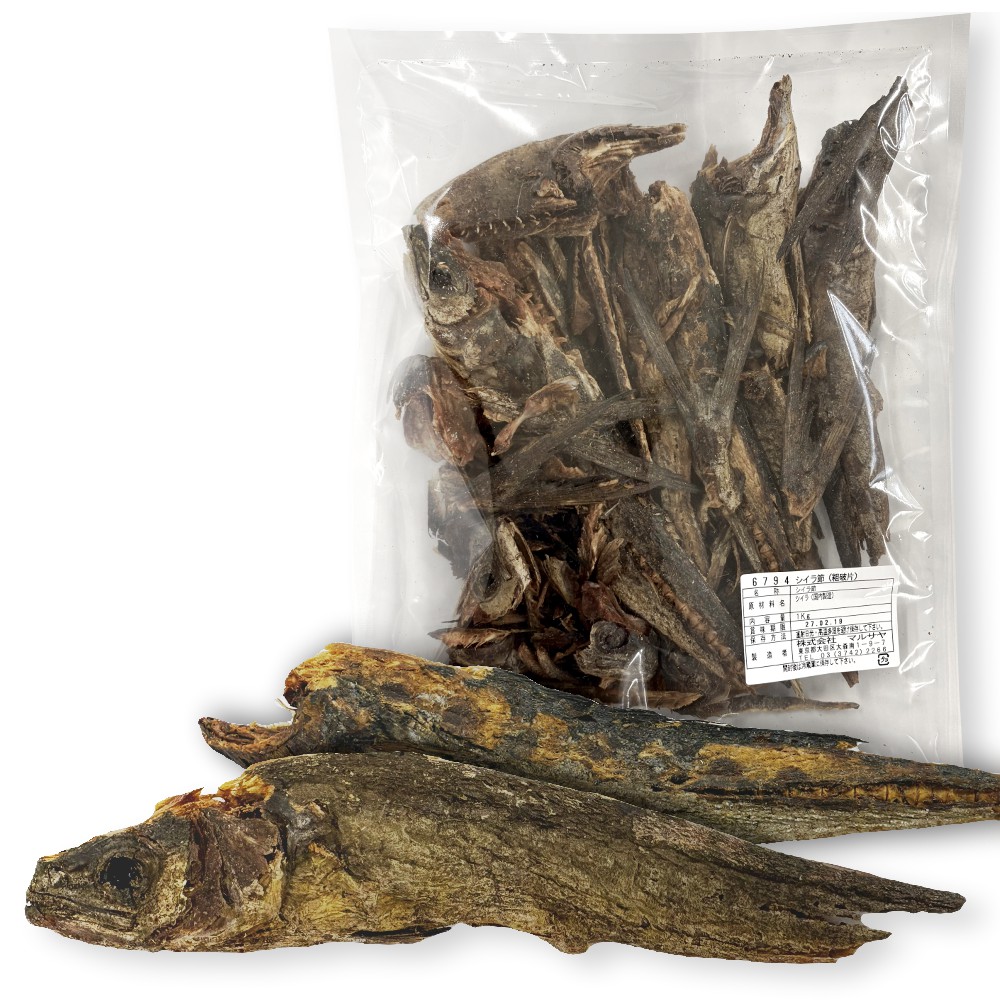 シイラ節(粗破片)