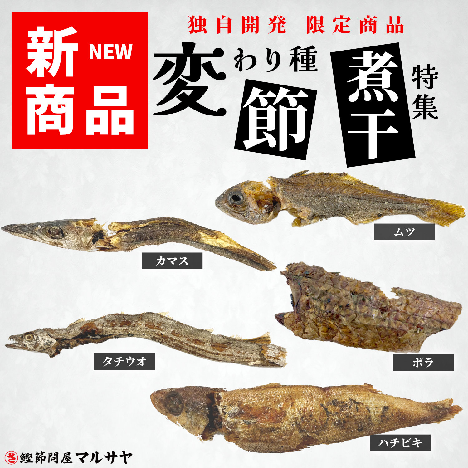 変わり種の節＆煮干し